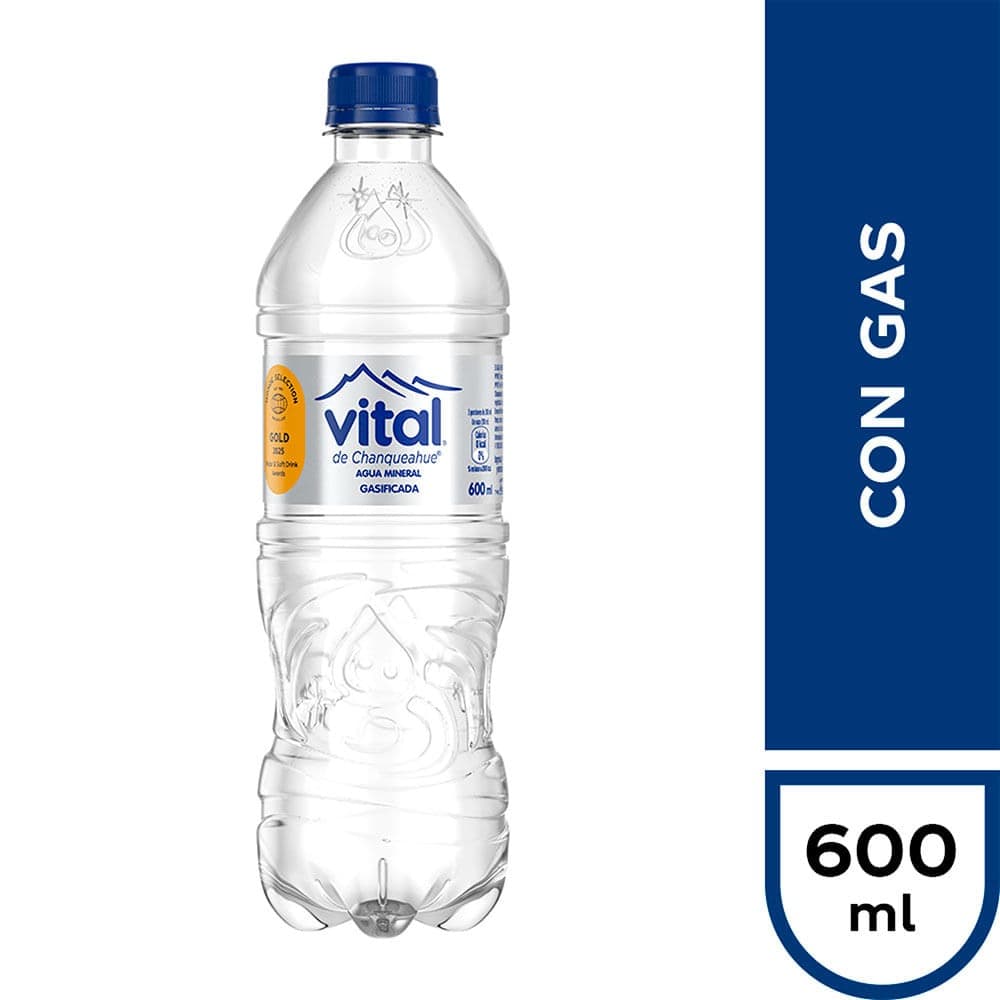 Agua Vital Con Gas 600 Ml