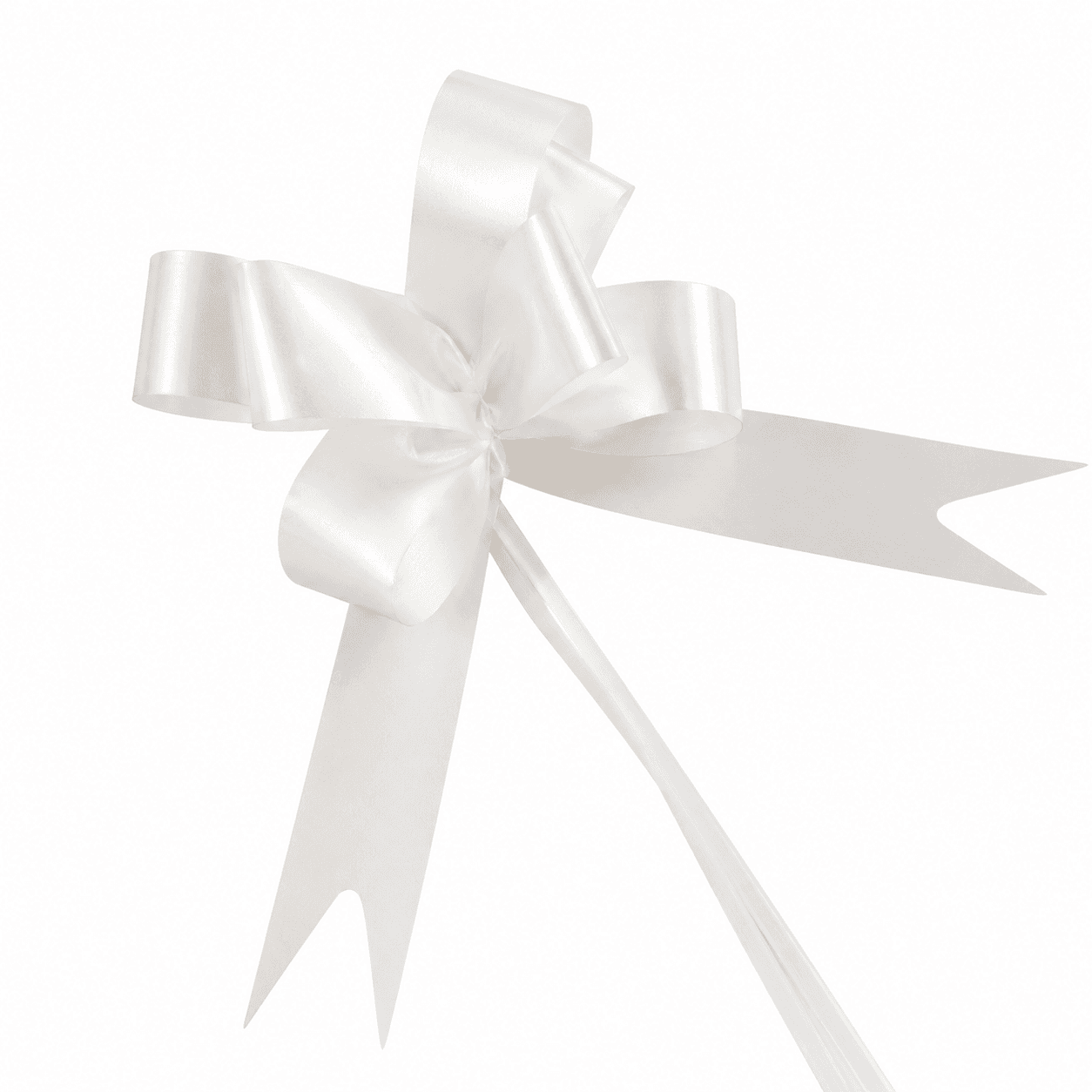 Cinta de Regalo Blanco