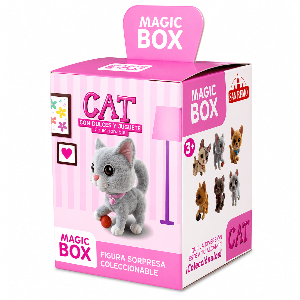 Magic Box Cat