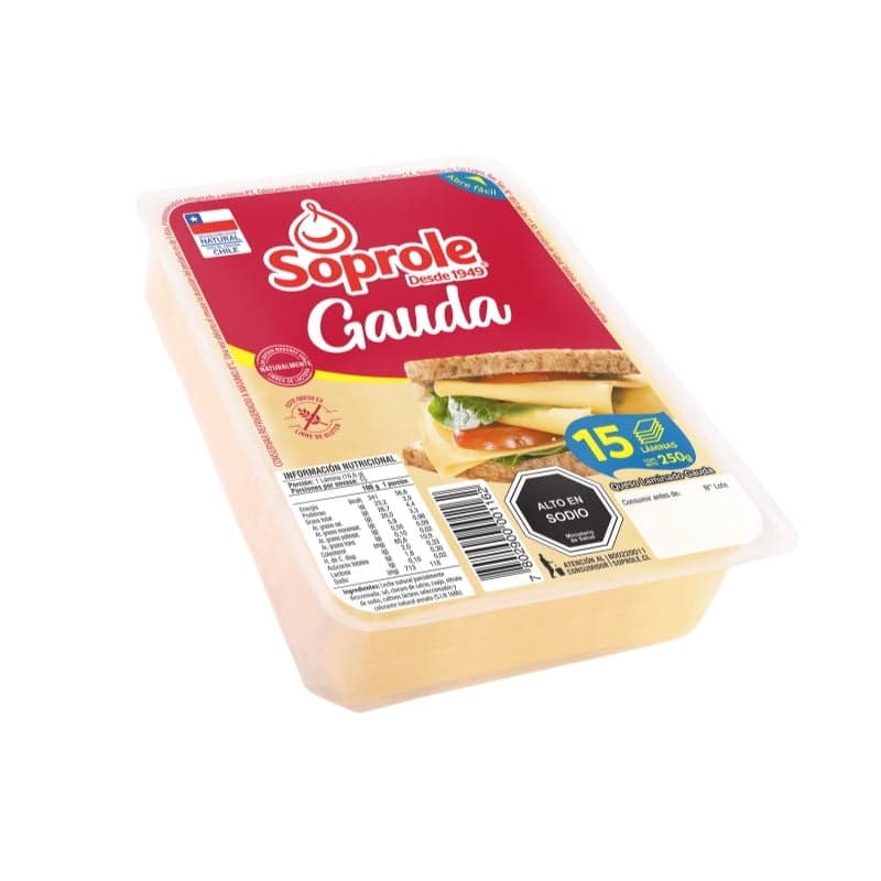 Queso Gauda Laminado 250 G